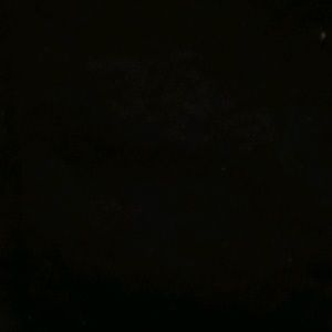 Meet your Posher, Beaunica